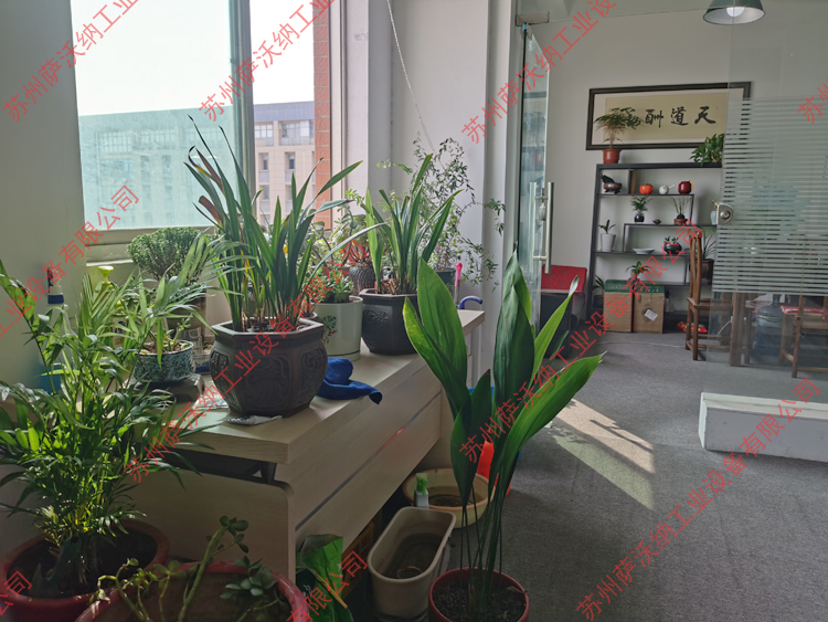 公司環(huán)境
